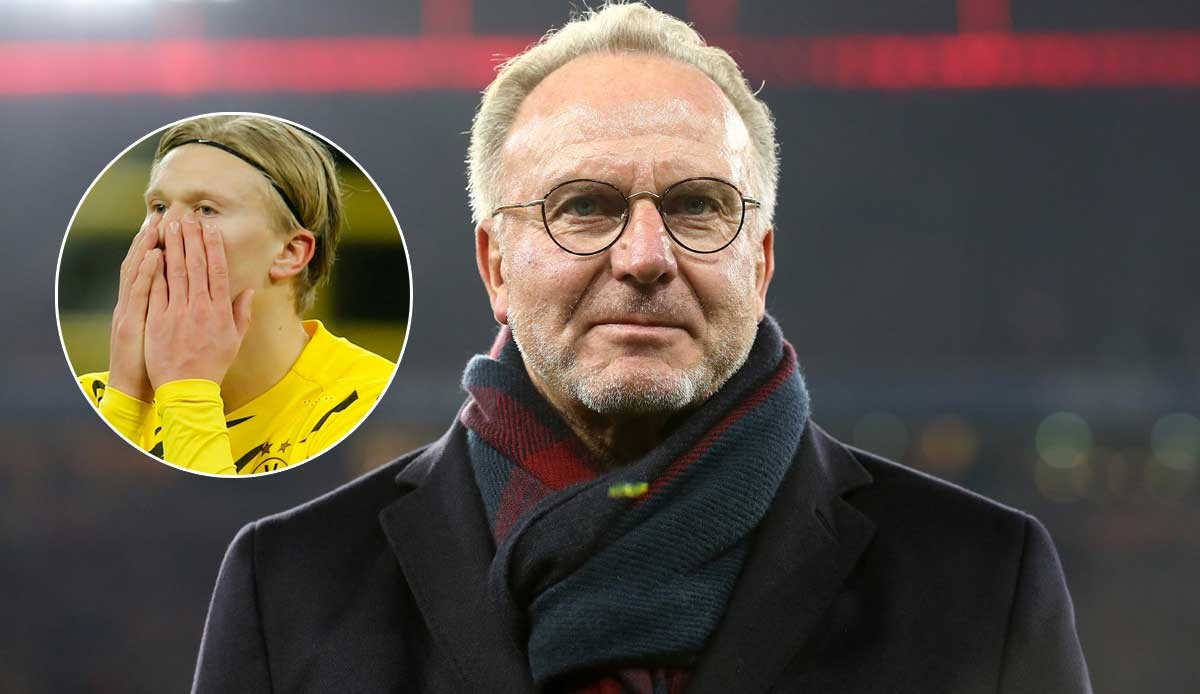 斯内德：世界杯四强？我看好葡萄牙、西班牙、法国和巴西（斯内德预测世界杯四强：葡萄牙、西班牙、法国与巴西）